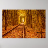 Oekraïne Forest Railway Tunnel of Love Landscape Poster (Voorkant)