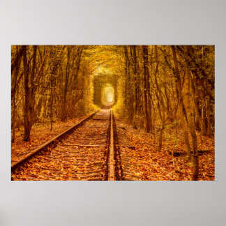 Oekraïne Forest Railway Tunnel of Love Landscape Poster