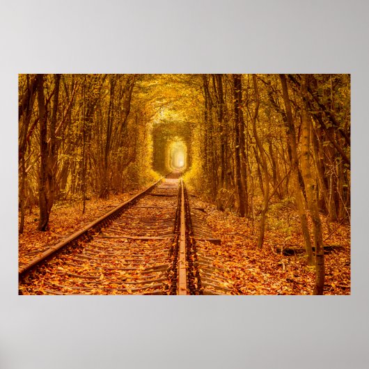 Oekraïne Forest Railway Tunnel of Love Landscape Poster (Voorkant)