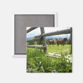 Oekraïne: in de Karpaten Magneet (Voorkant / Achterkant)