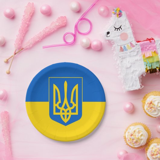 Oekraïne Papieren Bordje (Feest)