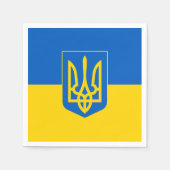 Oekraïne Servet (Voorkant)