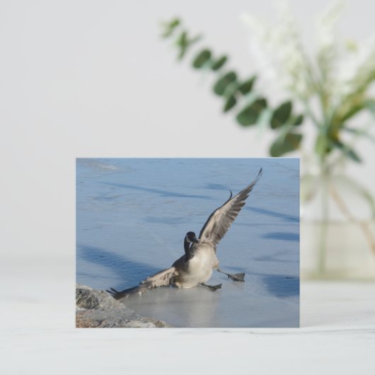 Oeps! Briefkaart (Staand voorkant)