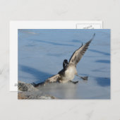 Oeps! Briefkaart (Voorkant / Achterkant)