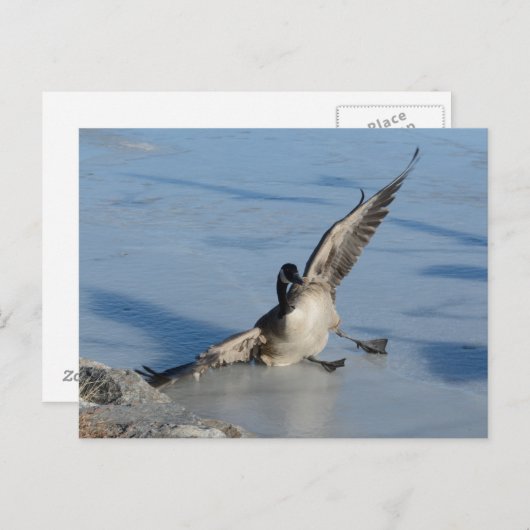 Oeps! Briefkaart (Voorkant / Achterkant)