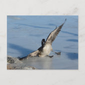 Oeps! Briefkaart (Voorkant)