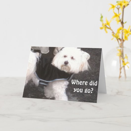 OEPS, JE VERJAARDAG VERGETEN KAART (Gele Bloem)