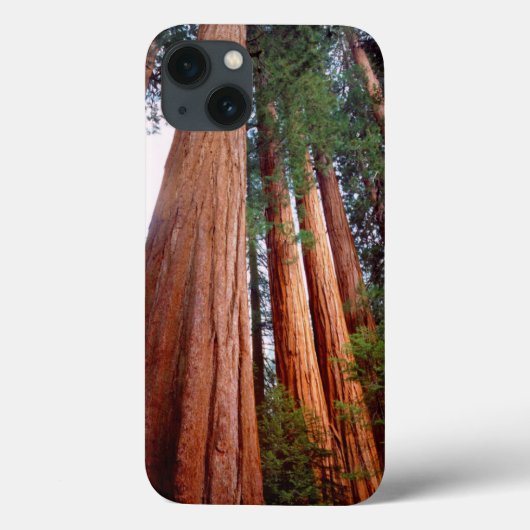 Oerbomen van de Sequoia Redwood Case-Mate iPhone Case (Achterkant)