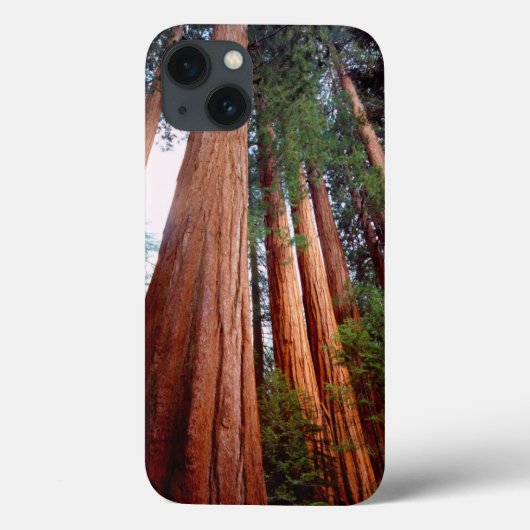 Oerbomen van de Sequoia Redwood Case-Mate iPhone Case (Achterkant)