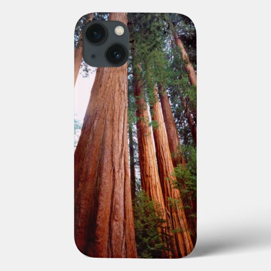 Oerbomen van de Sequoia Redwood Case-Mate iPhone Case (Achterkant)