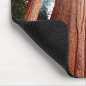 Oerbomen van de Sequoia Redwood Muismat (Hoek)