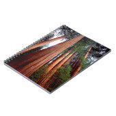 Oerbomen van de Sequoia Redwood Notitieboek (Linkerzijde)