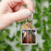 Oerbomen van de Sequoia Redwood Sleutelhanger (Hand)