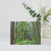 Oerbos Briefkaart (Staand voorkant)