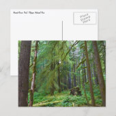 Oerbos Briefkaart (Voorkant / Achterkant)