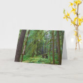 Oerbos Kaart (Gele Bloem)