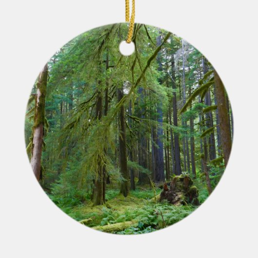 Oerbos Keramisch Ornament (Voorkant)