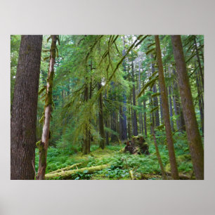 Oerbos Poster