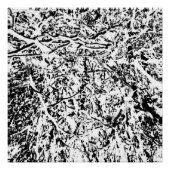 oerharmonie perfect poster (Voorkant)