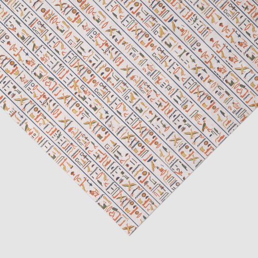 oeroude egypte hiërogliefachtergrond histo tissuepapier (Detail)