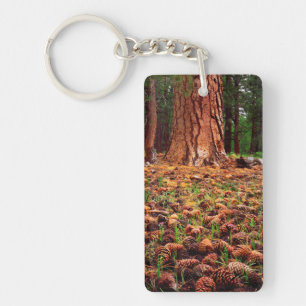 Oeroude Ponderosa boom met dennenappels Sleutelhanger