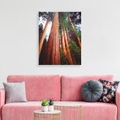 Oeroude sequoia-redwoodbomen canvas afdruk (Insitu (Woonkamer))