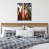 Oeroude sequoia-redwoodbomen canvas afdruk (Insitu (Slaapkamer))