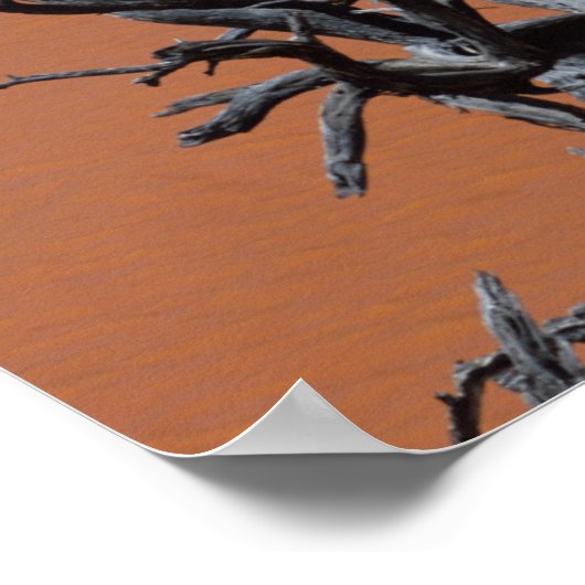 Oervlotten veranderen in de Colorado Poster (Hoek)