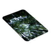 Oerwoud 3 "x4" magneet (Rechterzijde)
