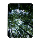 Oerwoud 3 "x4" magneet (Verticaal)