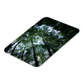 Oerwoud 3 "x4" magneet (Linkerzijde)