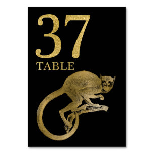 Oerwoud African Animal Monkey Tafelnummer Kaart 37