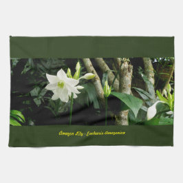 Oerwoud Amazon Lily - Eucharis Amazonica Theedoek