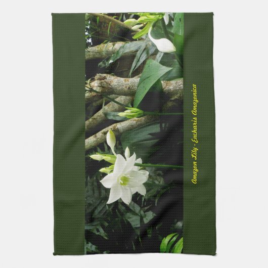 Oerwoud Amazon Lily - Eucharis Amazonica Theedoek (Verticaal)