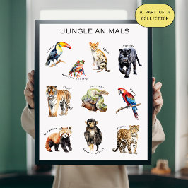 Oerwoud Animals Educational Poster