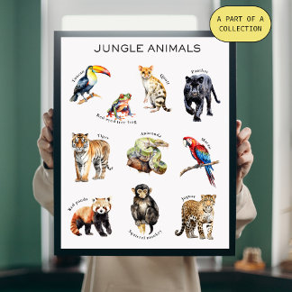 Oerwoud Animals Educational Poster
