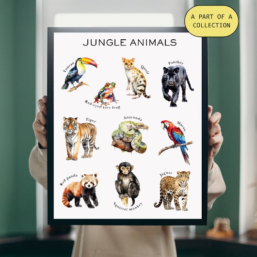 Oerwoud Animals Educational Poster