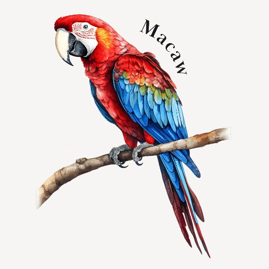 Oerwoud Animals Educational Poster