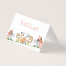 Oerwoud Animals Gender Reveal - Baby shower