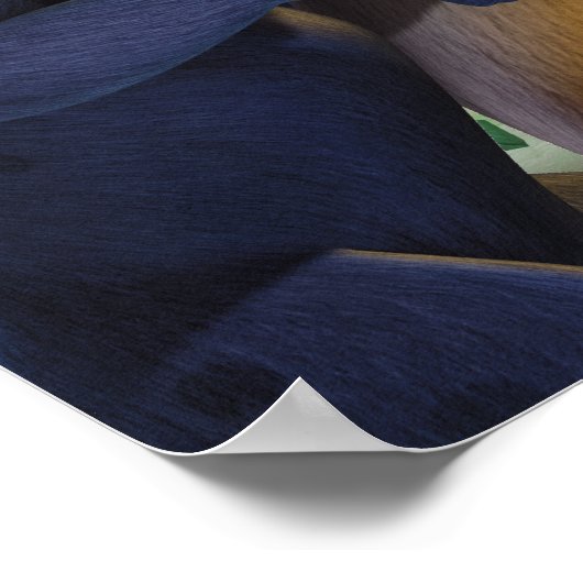 Oerwoud Boek Groep Shot 1 2 Poster (Hoek)