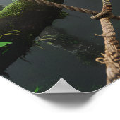 Oerwoud Bridge over een Crevasse Poster (Hoek)