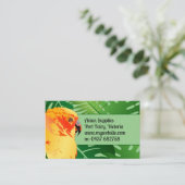 Oerwoud Conure Oranje Parrot Green laat Avian Visitekaartje (Staand voorkant)