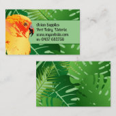 Oerwoud Conure Oranje Parrot Green laat Avian Visitekaartje (Voorkant / Achterkant)