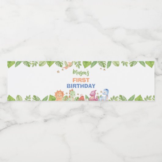 Oerwoud Dinosaur Boy Verjaardag Water Bottle Label Waterfles Etiket (Enkel label)