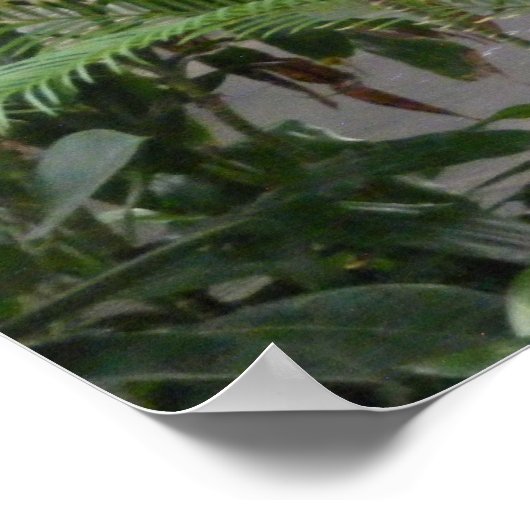 Oerwoud Duck Poster (Hoek)