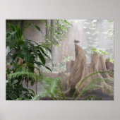 Oerwoud Duck Poster (Voorkant)