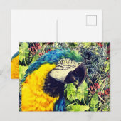 Oerwoud en een blauwgele ara feestdagenkaart (Voorkant / Achterkant)