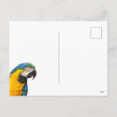 Oerwoud en een blauwgele ara feestdagenkaart (Achterkant)