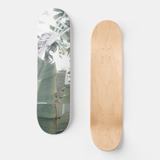 Oerwoud Finesse #1 #tropische #wand #art Persoonlijk Skateboard (Voorkant)