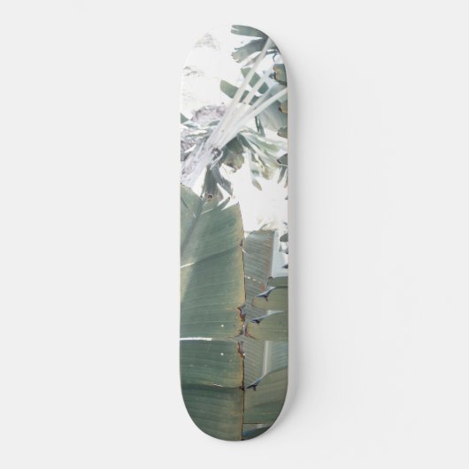 Oerwoud Finesse #1 #tropische #wand #art Persoonlijk Skateboard (Voorkant)